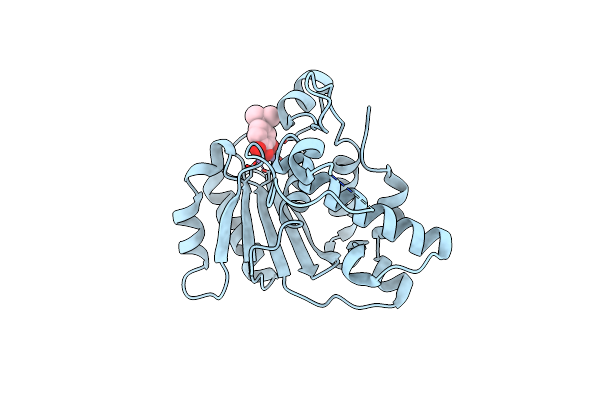 5C2F image