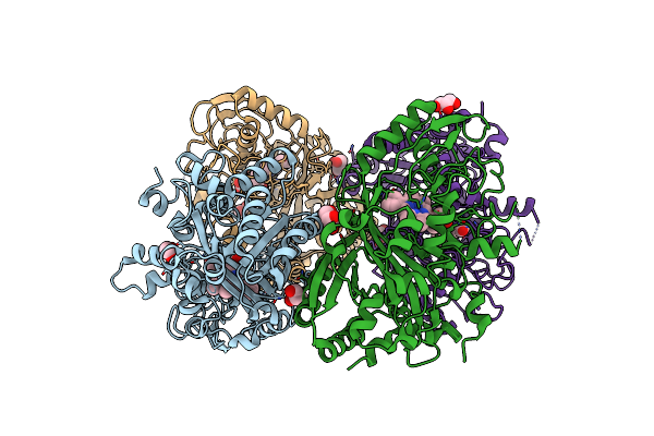 5C2I image