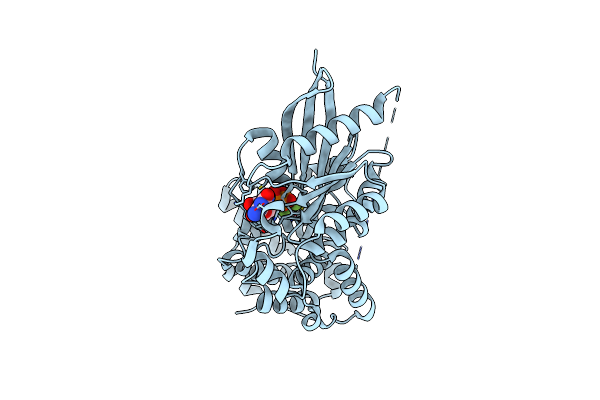 5C2K image