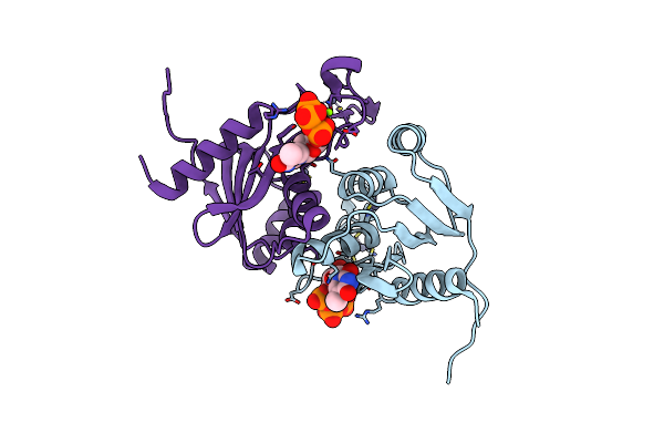 5C2O image