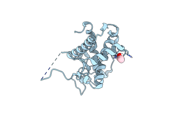 5C30 image