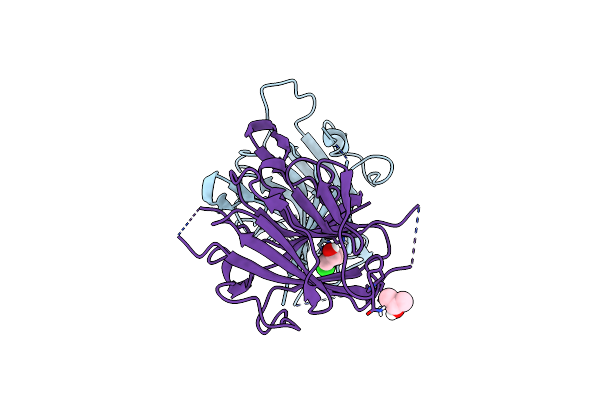 5C33 image
