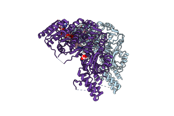 5C37 image