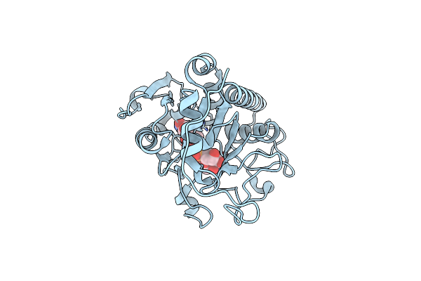 5C3A image