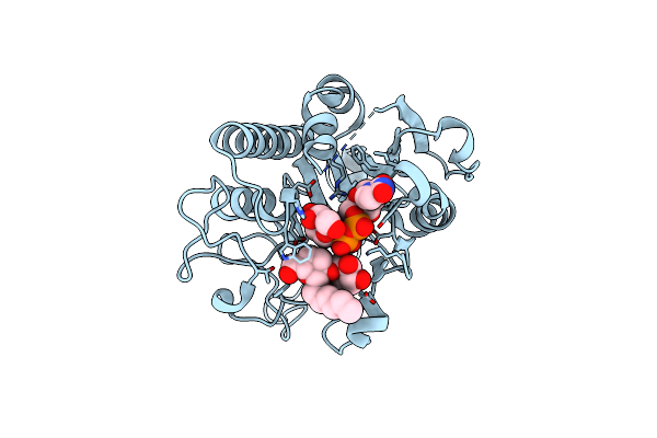 5C3B image