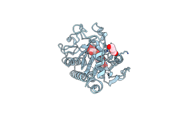 5C3D image