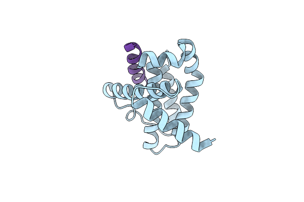 5C3G image