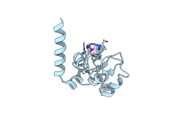 5C3K image