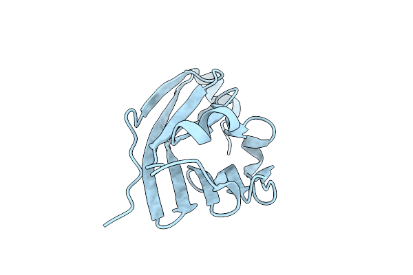 5C3T image