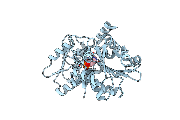 5C3U image