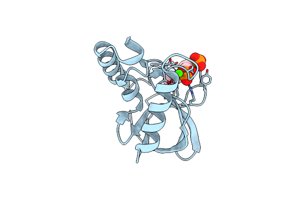 5C3W image