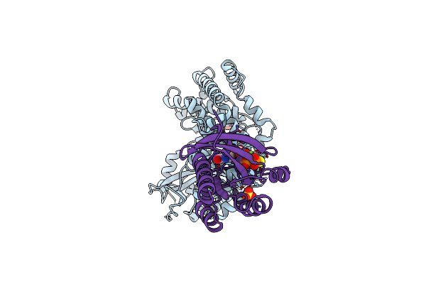 5C46 image