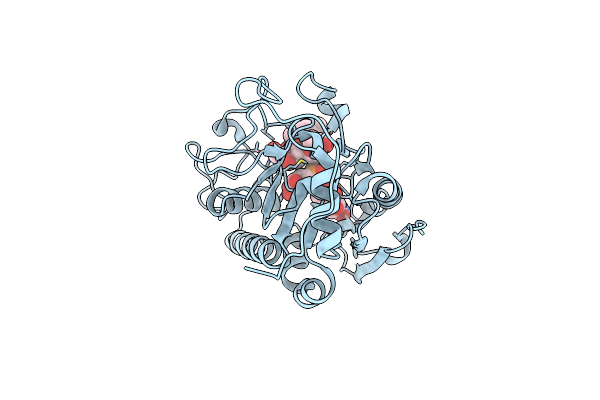 5C48 image