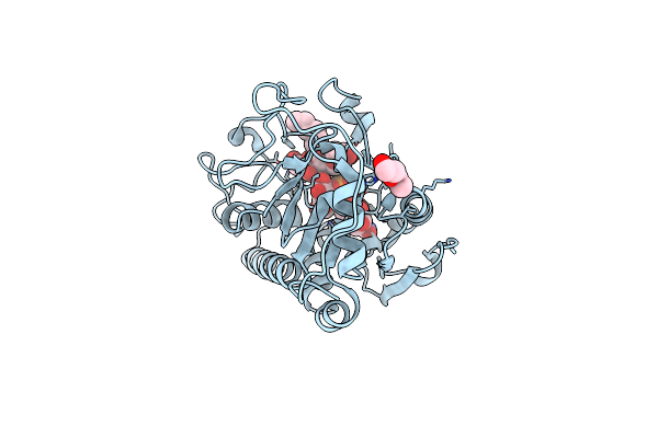5C4B image