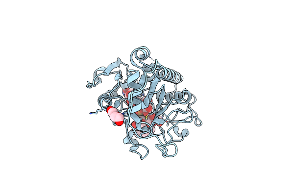 5C4C image