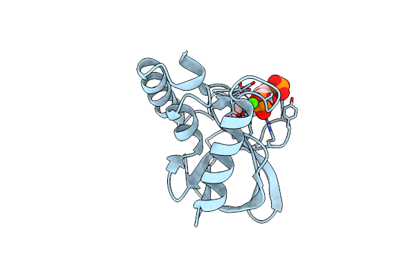 5C4H image