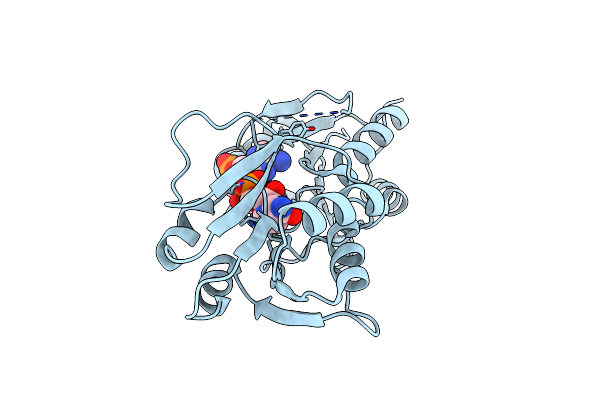 5C4N image