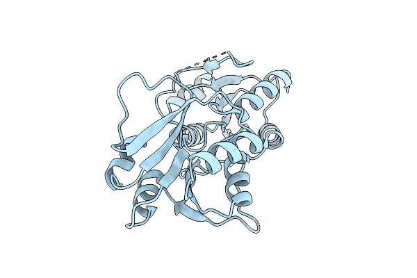 5C4R image