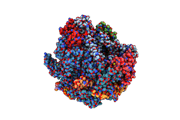 5C4X image