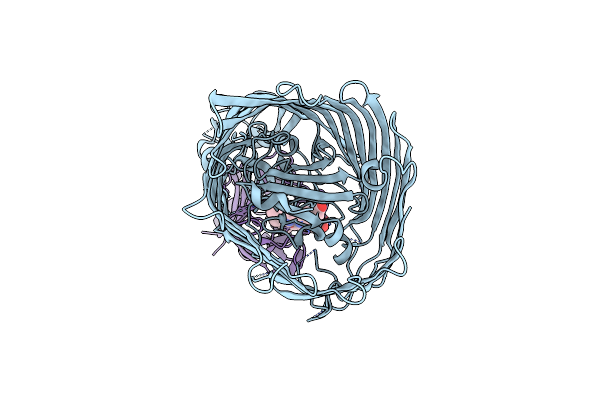 5C58 image