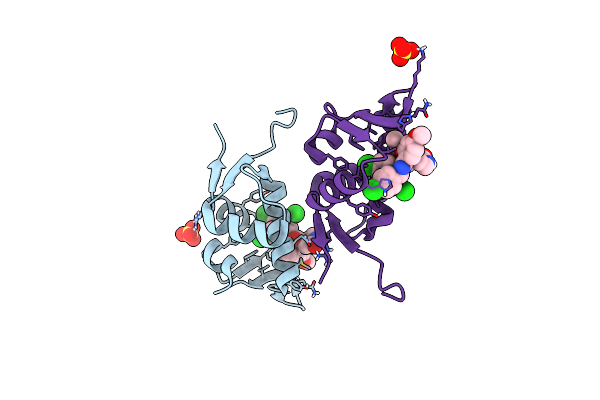 5C5A image