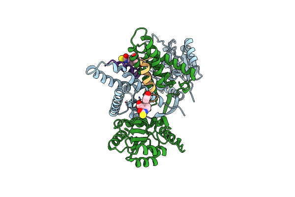 5C5E image
