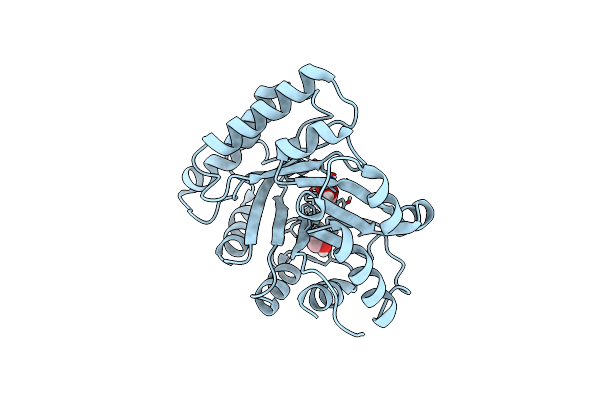 5C5G image