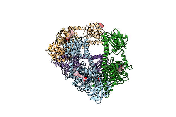 5C5K image