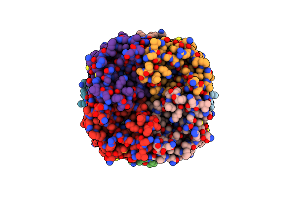 5C5X image