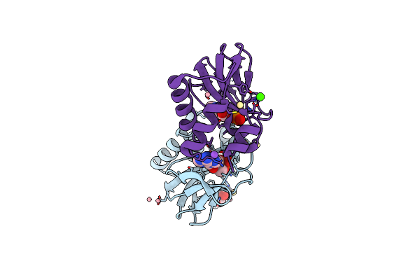 5C6C image