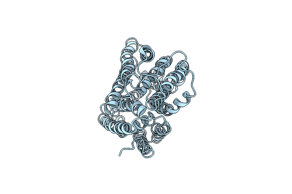 5C6N image
