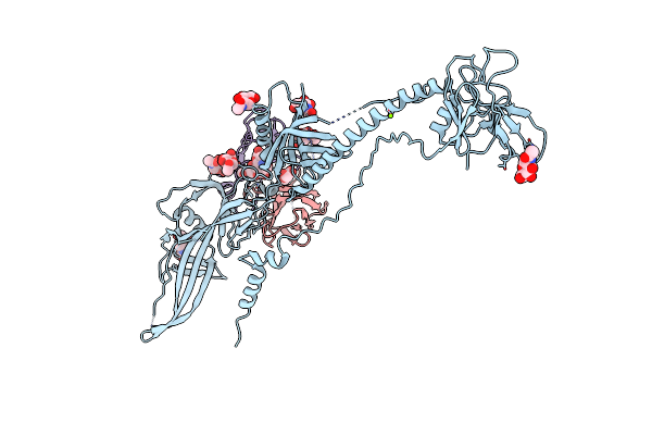 5C6T image
