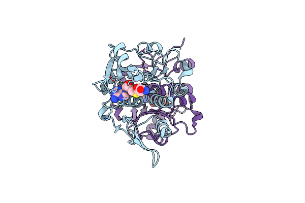 5C77 image