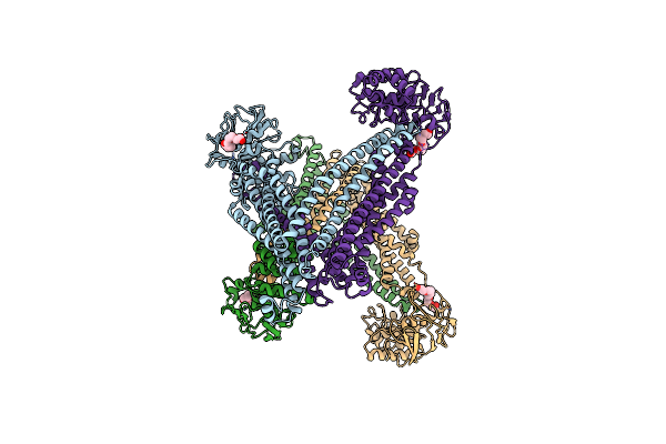 5C78 image