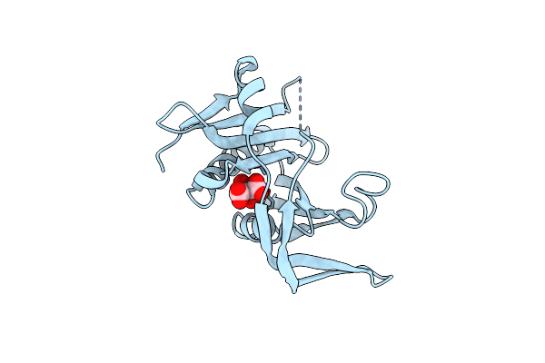 5C82 image