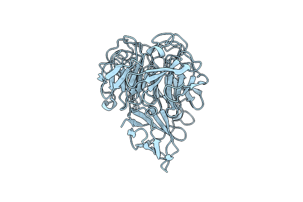 5C86 image