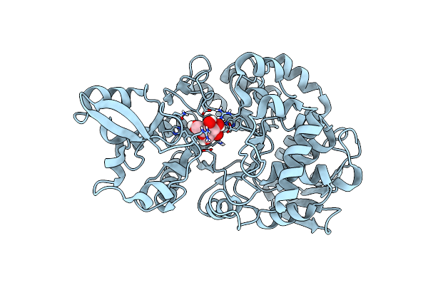 5C8B image