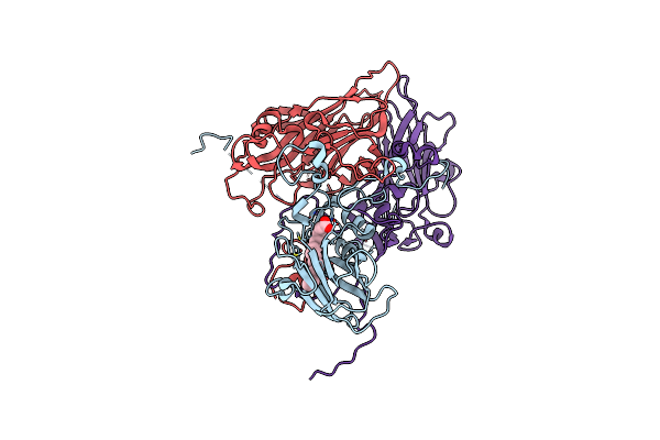 5C8C image