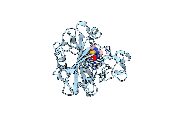 5C8I image