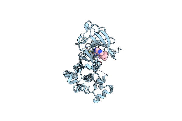 5C8K image