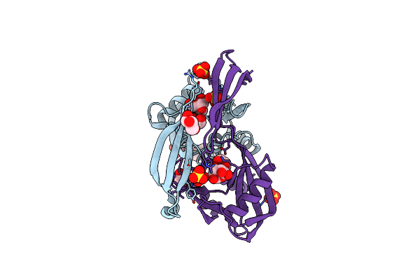 5C8L image