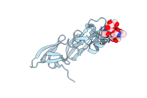 5C8P image
