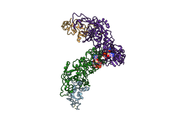 5C8S image
