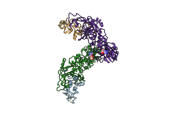 5C8T image