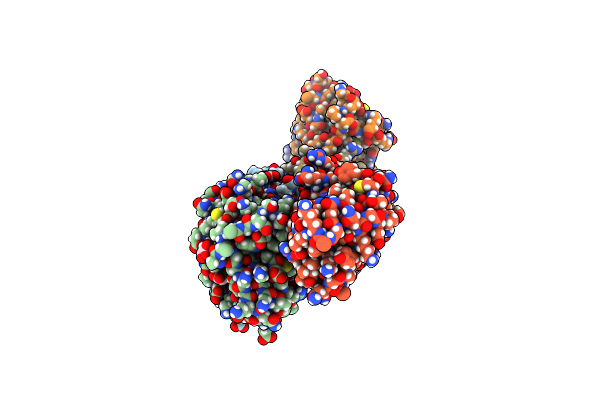 5C8W image