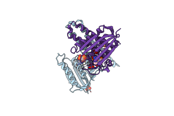 5C93 image