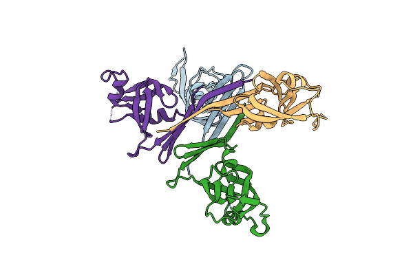 5C9B image