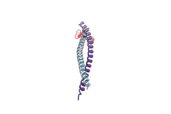5C9N image