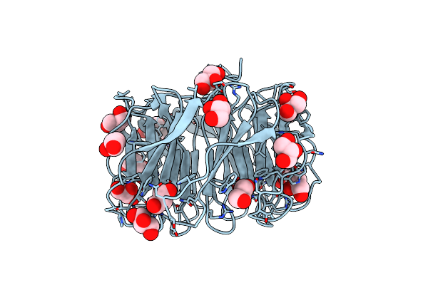 5C9O image