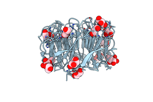 5C9P image